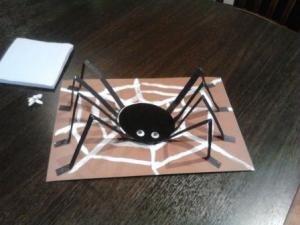 Spider-web_1.jpg