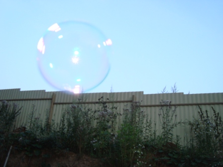 Bubbles-2.JPG