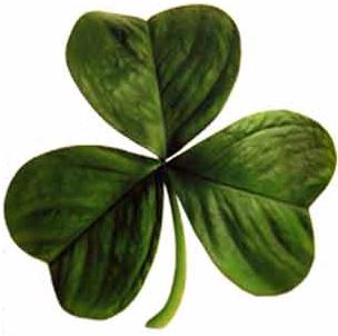 Irish-clover.jpg