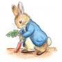 small_Peter-Rabbit.jpg